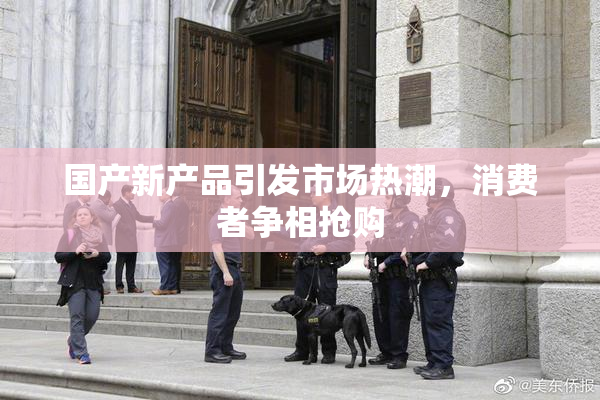 国产新产品引发市场热潮，消费者争相抢购