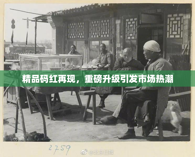 精品码红再现，重磅升级引发市场热潮