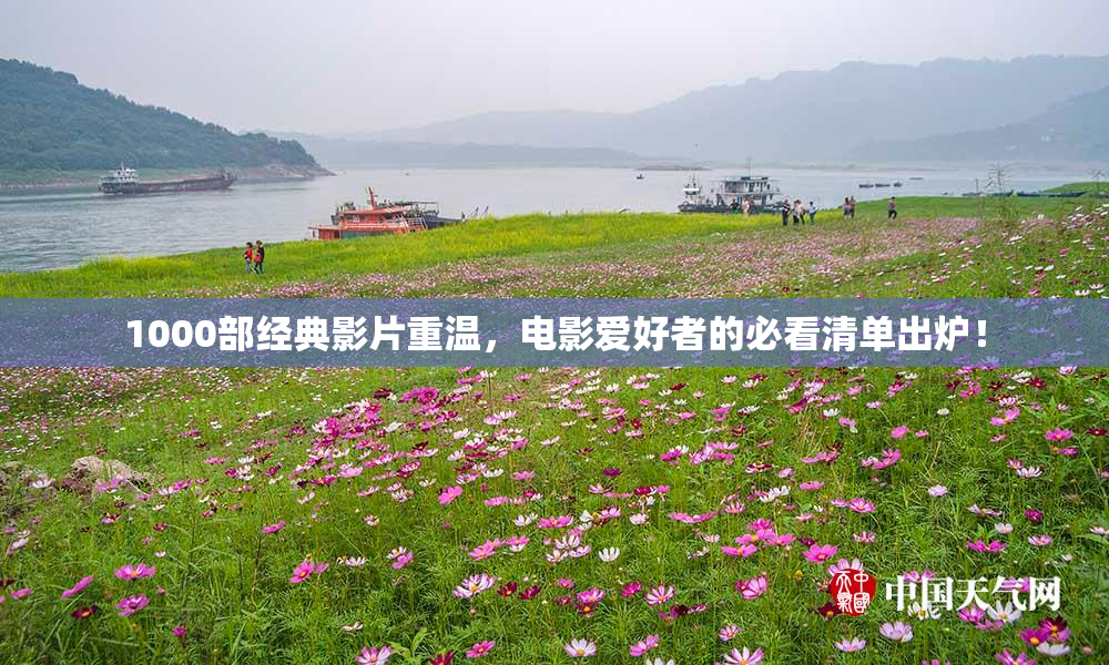 1000部经典影片重温，电影爱好者的必看清单出炉！