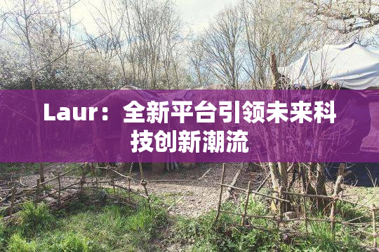 Laur：全新平台引领未来科技创新潮流