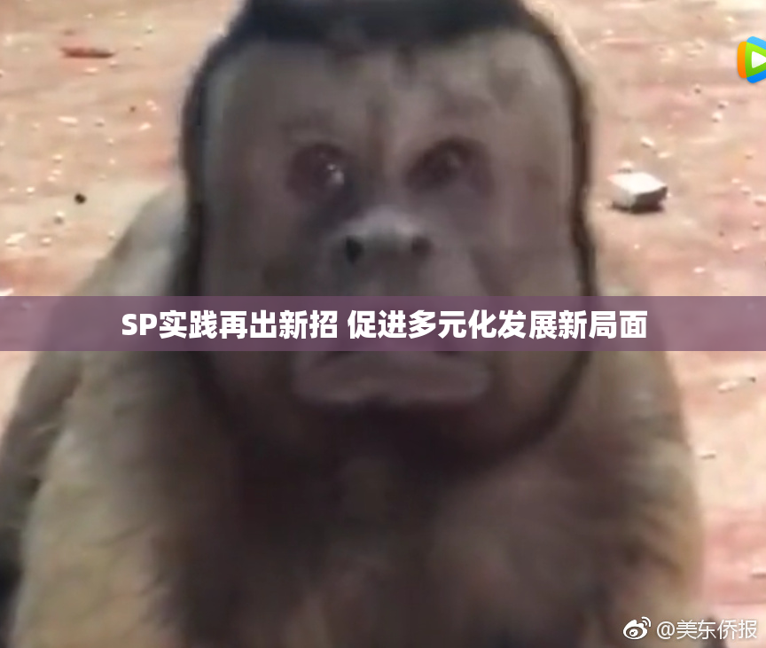 SP实践再出新招 促进多元化发展新局面