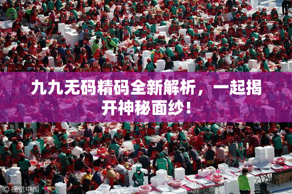 九九无码精码全新解析，一起揭开神秘面纱！