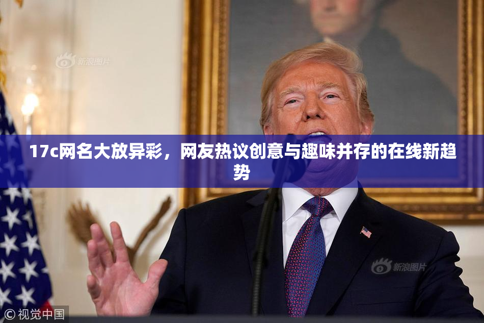 17c网名大放异彩，网友热议创意与趣味并存的在线新趋势