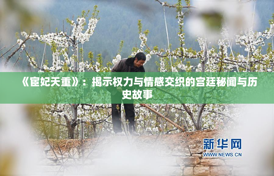《宦妃天重》：揭示权力与情感交织的宫廷秘闻与历史故事