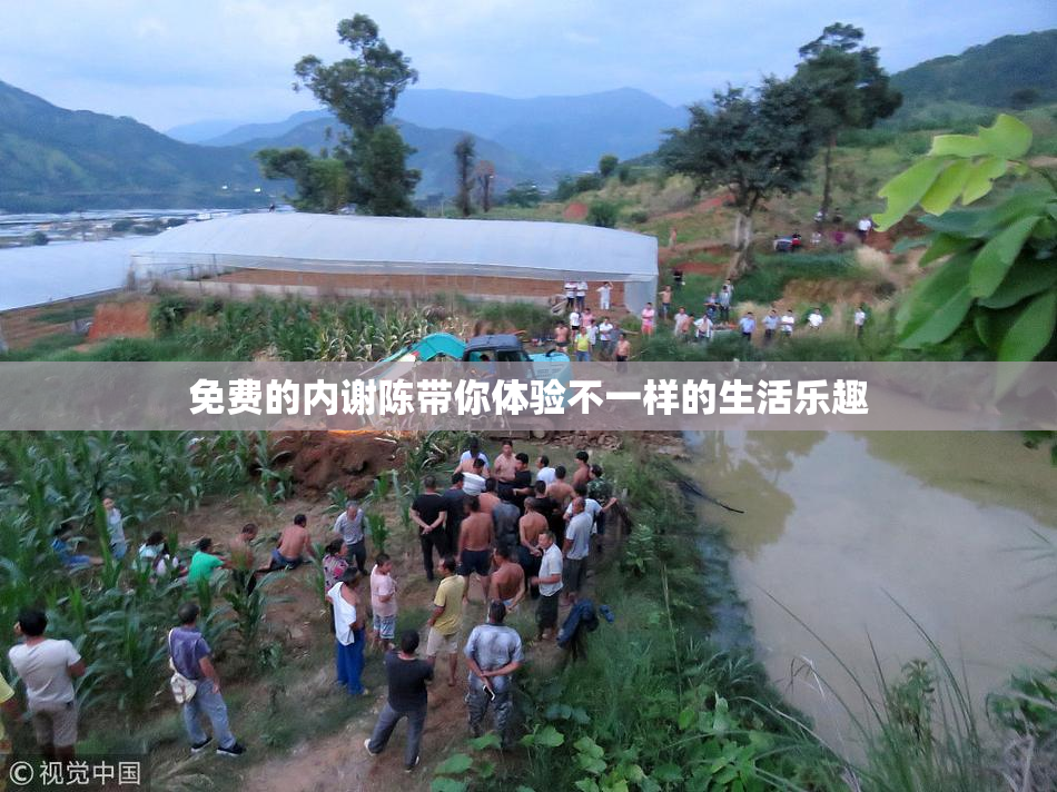 免费的内谢陈带你体验不一样的生活乐趣