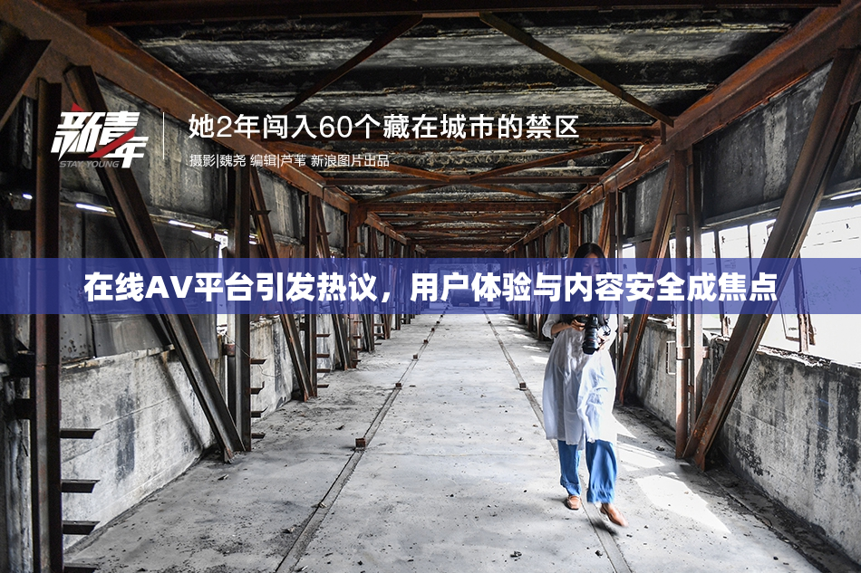 在线AV平台引发热议，用户体验与内容安全成焦点