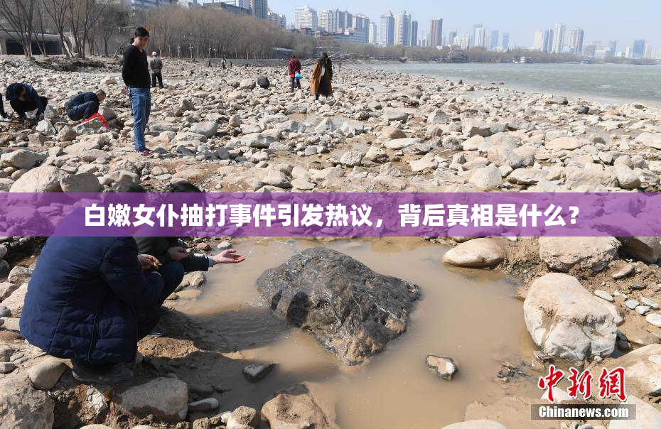 白嫩女仆抽打事件引发热议，背后真相是什么？