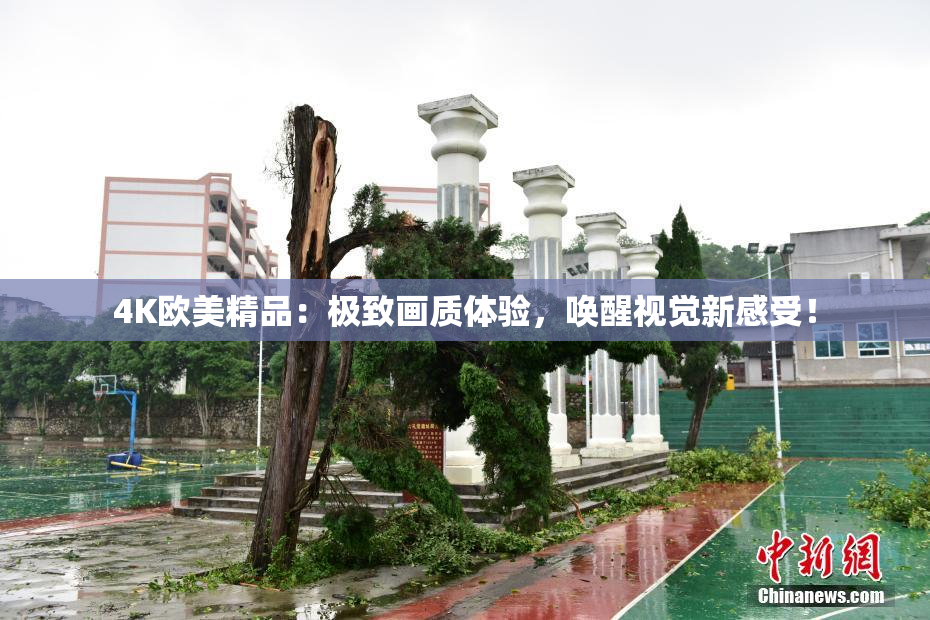 4K欧美精品：极致画质体验，唤醒视觉新感受！