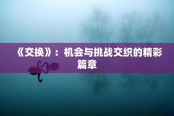 《交换》：机会与挑战交织的精彩篇章