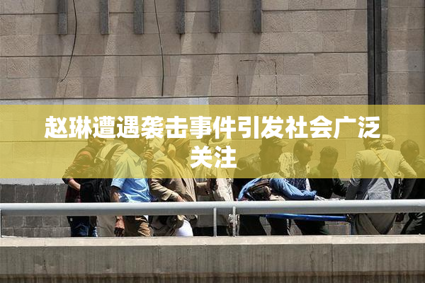 赵琳遭遇袭击事件引发社会广泛关注