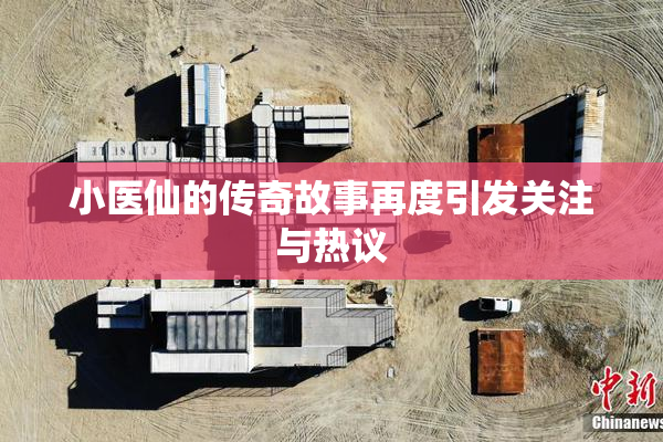 小医仙的传奇故事再度引发关注与热议
