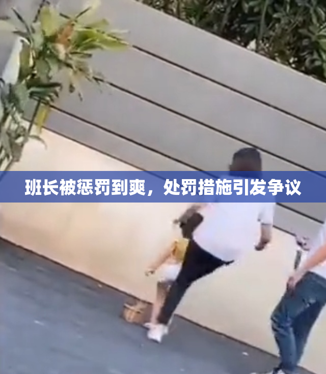 班长被惩罚到爽，处罚措施引发争议