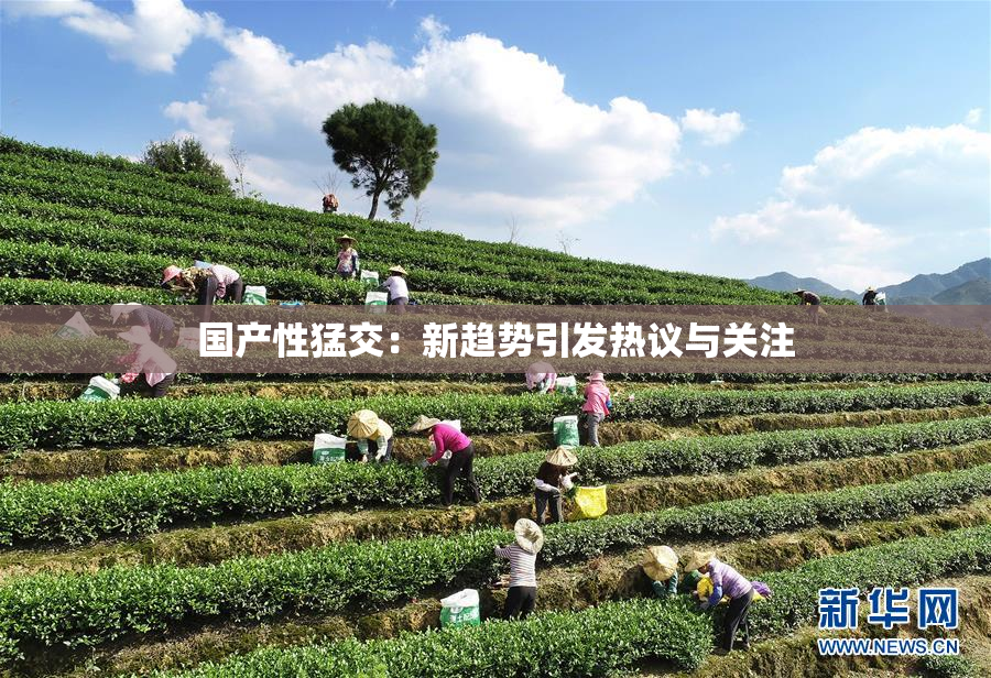 国产性猛交：新趋势引发热议与关注