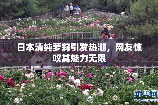 日本清纯萝莉引发热潮，网友惊叹其魅力无限