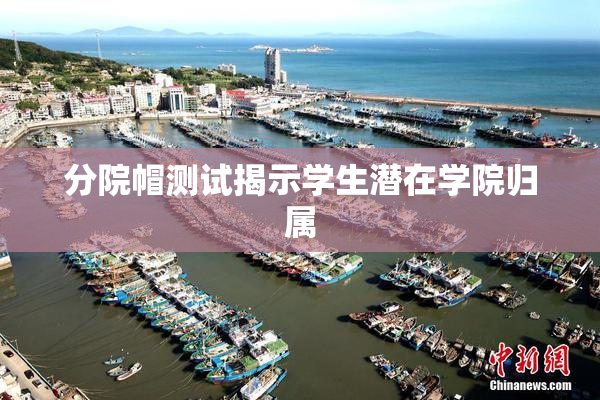 分院帽测试揭示学生潜在学院归属
