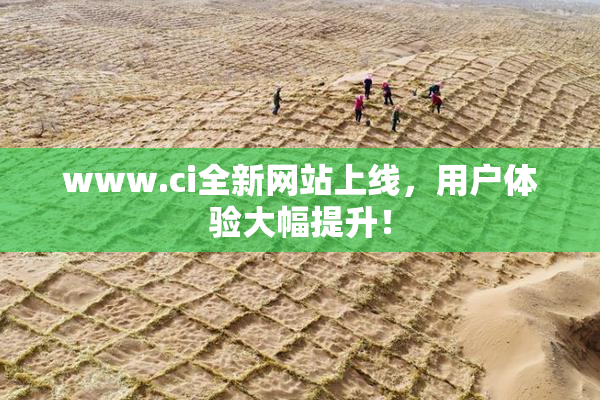 www.ci全新网站上线，用户体验大幅提升！