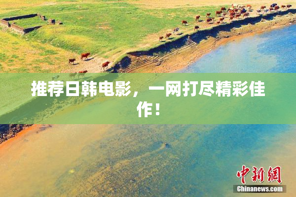 推荐日韩电影，一网打尽精彩佳作！