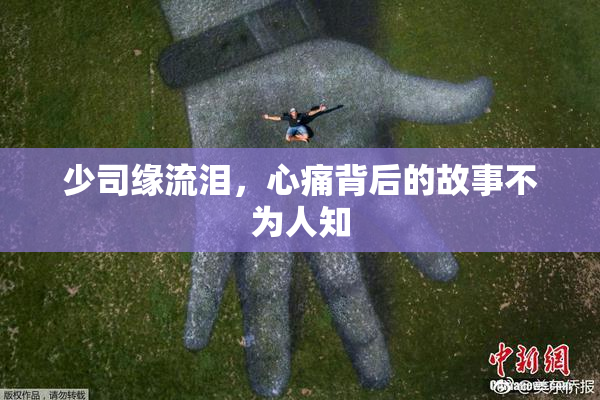 少司缘流泪，心痛背后的故事不为人知