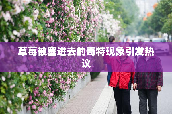 草莓被塞进去的奇特现象引发热议