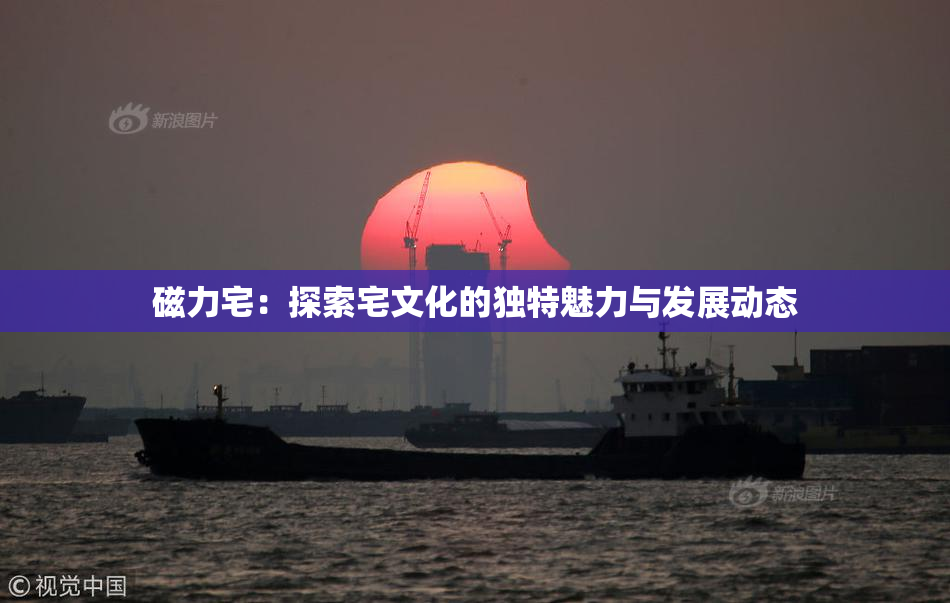 磁力宅：探索宅文化的独特魅力与发展动态