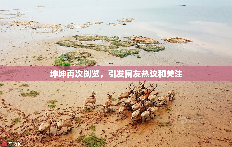 坤坤再次浏览，引发网友热议和关注