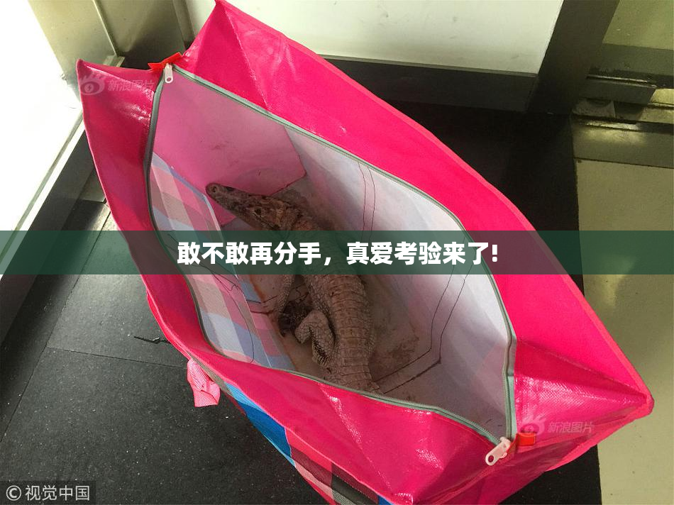 敢不敢再分手，真爱考验来了!