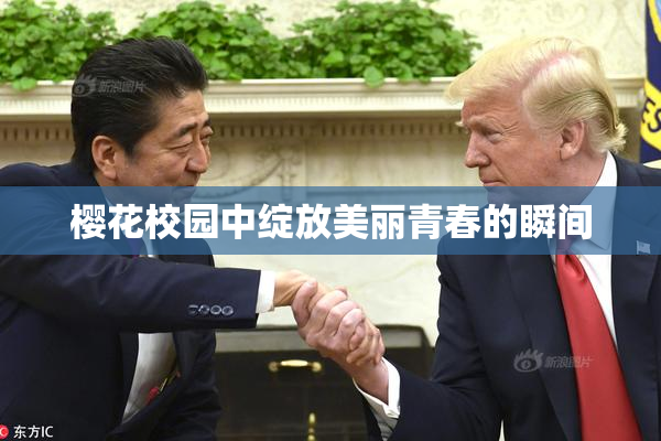 樱花校园中绽放美丽青春的瞬间
