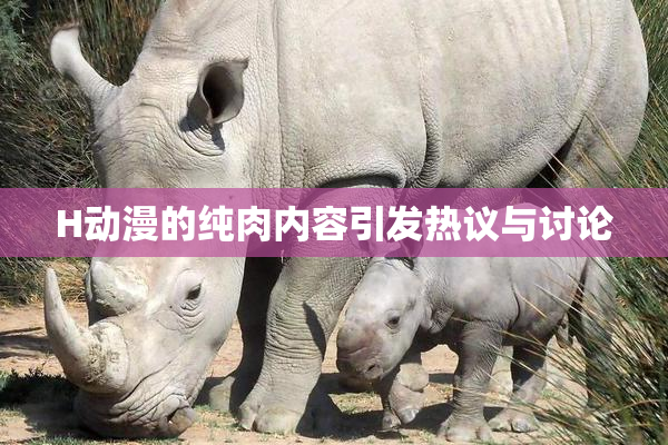 H动漫的纯肉内容引发热议与讨论