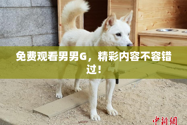 免费观看男男G，精彩内容不容错过！
