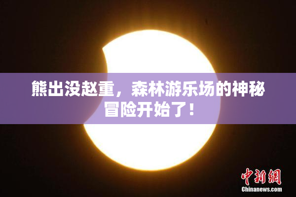 熊出没赵重，森林游乐场的神秘冒险开始了！