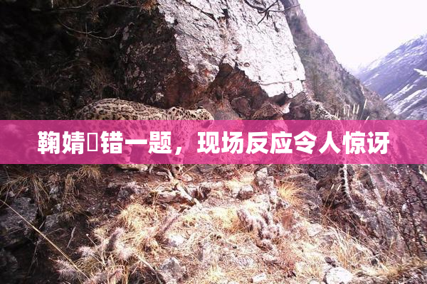 鞠婧祎错一题，现场反应令人惊讶