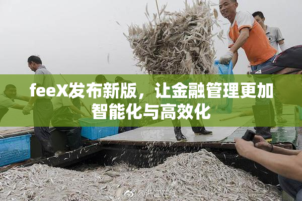 feeX发布新版，让金融管理更加智能化与高效化