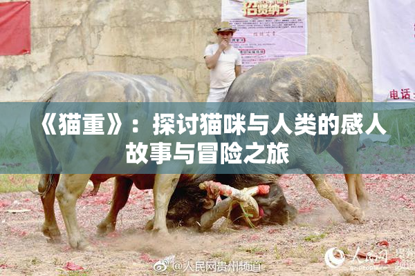 《猫重》：探讨猫咪与人类的感人故事与冒险之旅