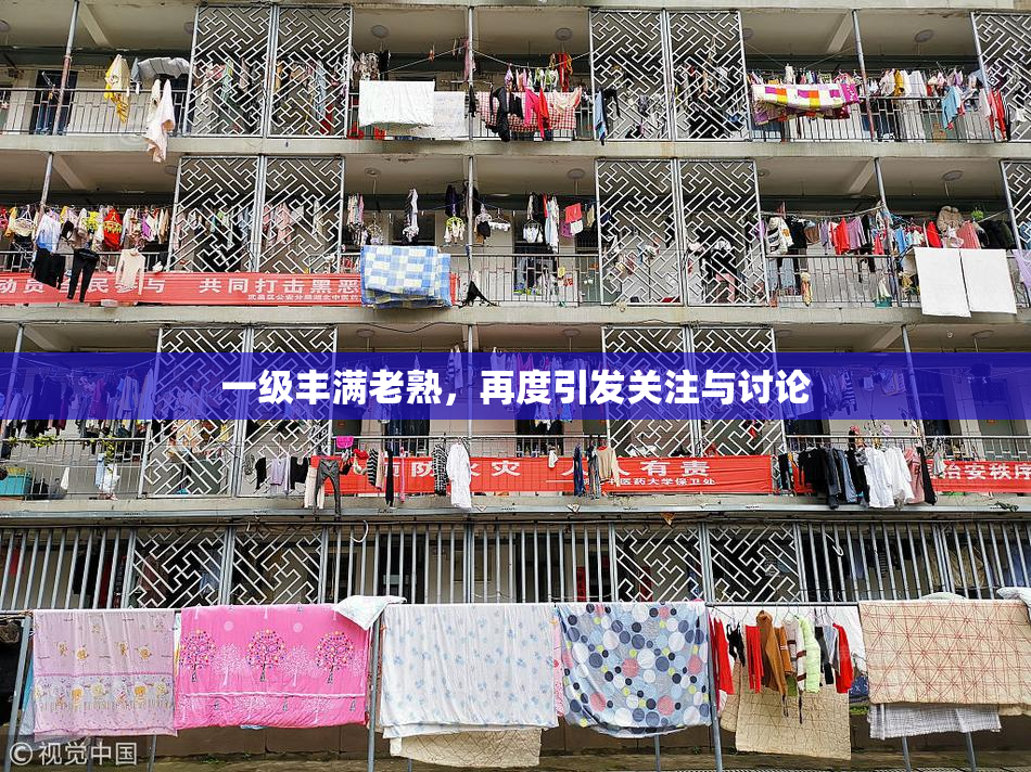 一级丰满老熟，再度引发关注与讨论