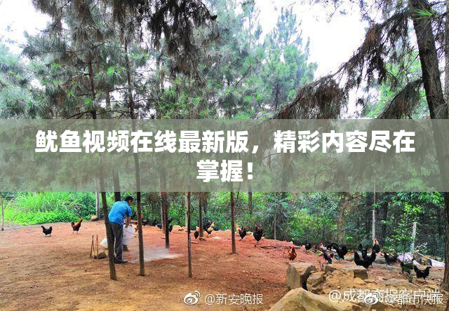 鱿鱼视频在线最新版，精彩内容尽在掌握！