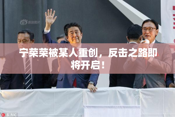 宁荣荣被某人重创，反击之路即将开启！