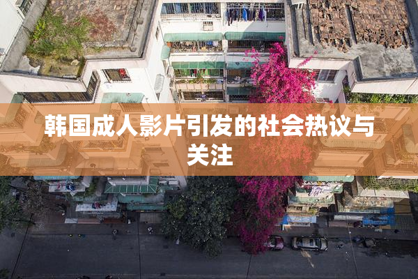 韩国成人影片引发的社会热议与关注
