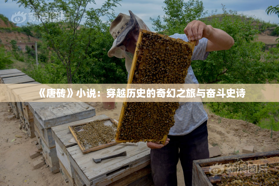 《唐砖》小说：穿越历史的奇幻之旅与奋斗史诗