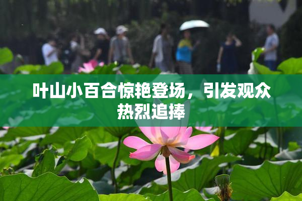 叶山小百合惊艳登场，引发观众热烈追捧