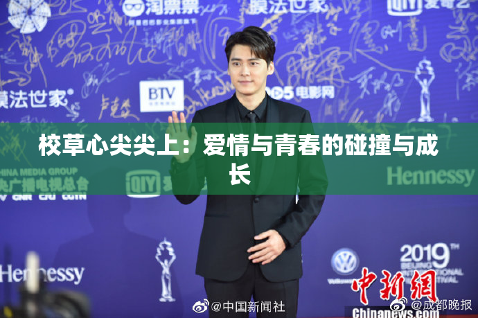 校草心尖尖上：爱情与青春的碰撞与成长