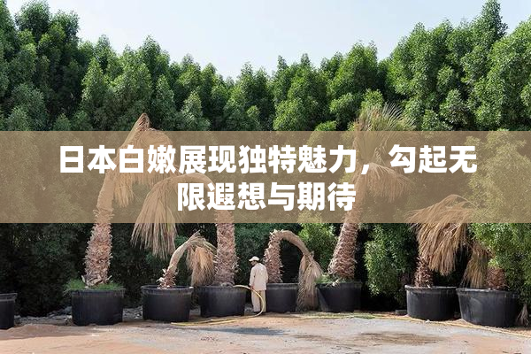日本白嫩展现独特魅力，勾起无限遐想与期待