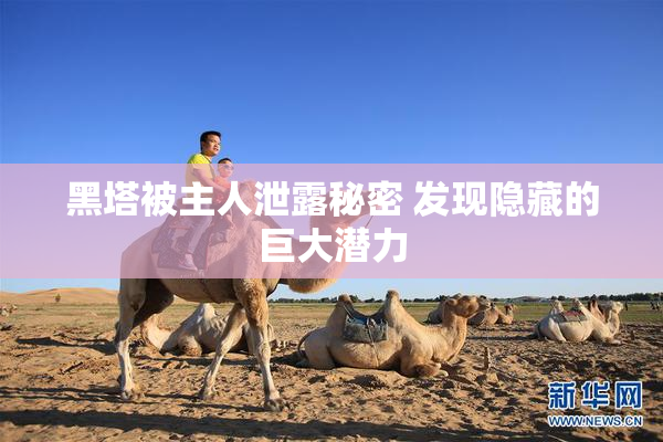 黑塔被主人泄露秘密 发现隐藏的巨大潜力