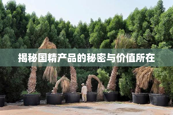 揭秘国精产品的秘密与价值所在