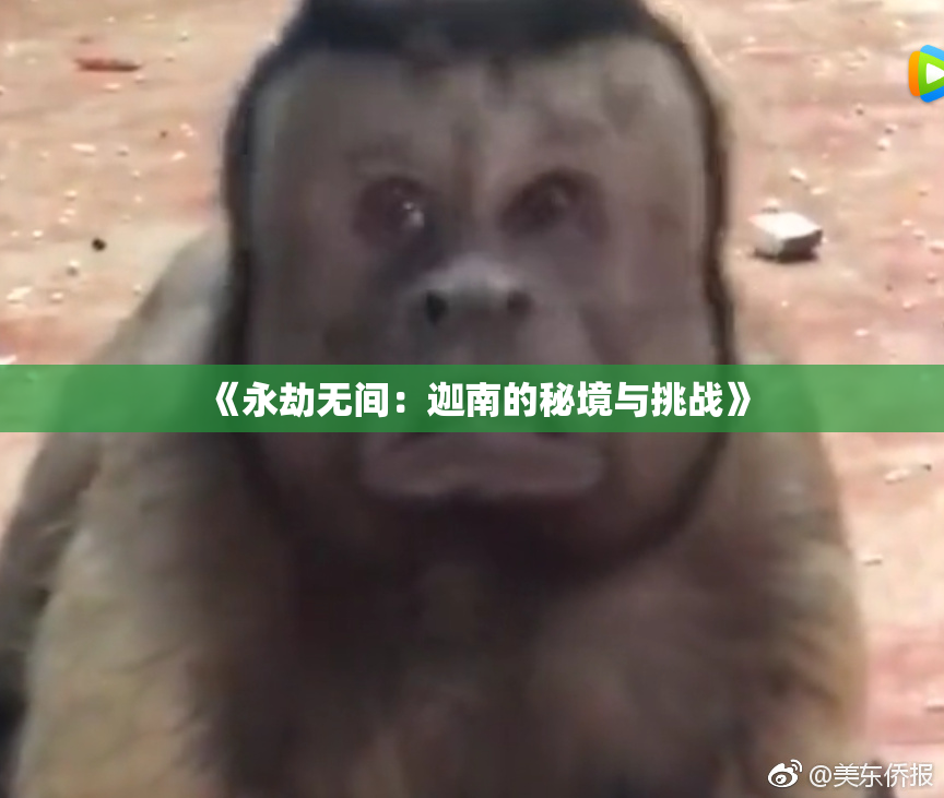 《永劫无间：迦南的秘境与挑战》