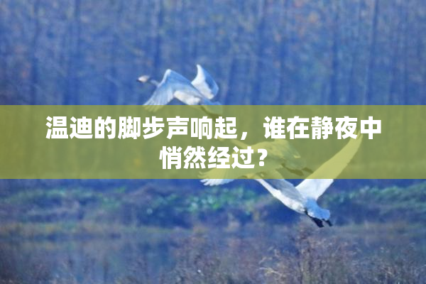 温迪的脚步声响起，谁在静夜中悄然经过？