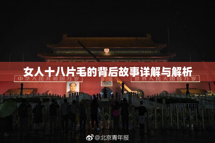 女人十八片毛的背后故事详解与解析