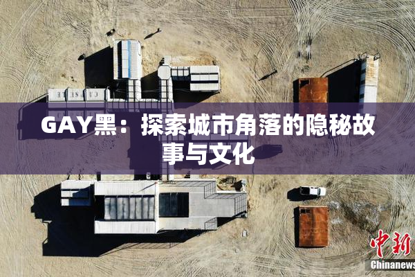 GAY黑：探索城市角落的隐秘故事与文化