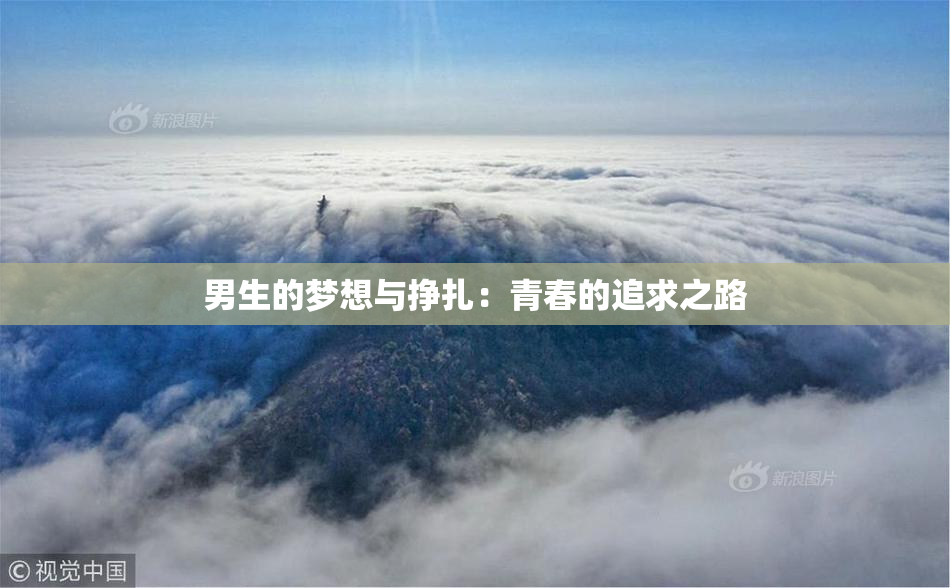 男生的梦想与挣扎：青春的追求之路