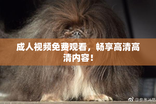 成人视频免费观看，畅享高清高清内容！