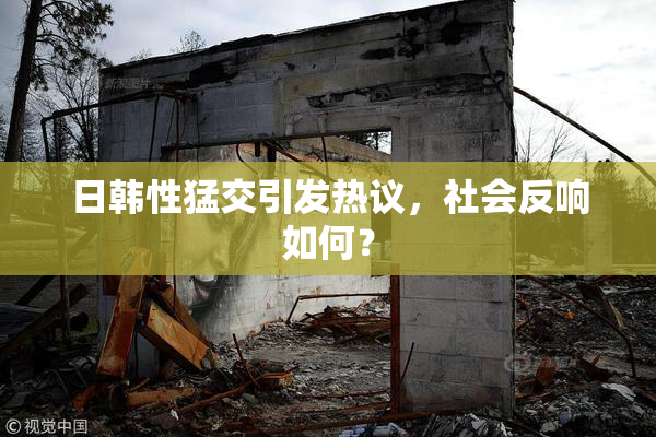 日韩性猛交引发热议，社会反响如何？